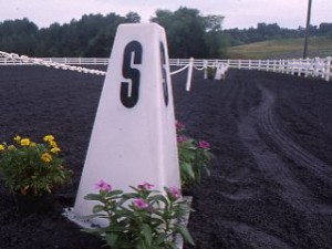 Dressage Markers